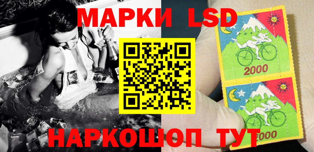 Бошки Шишки Нальчик