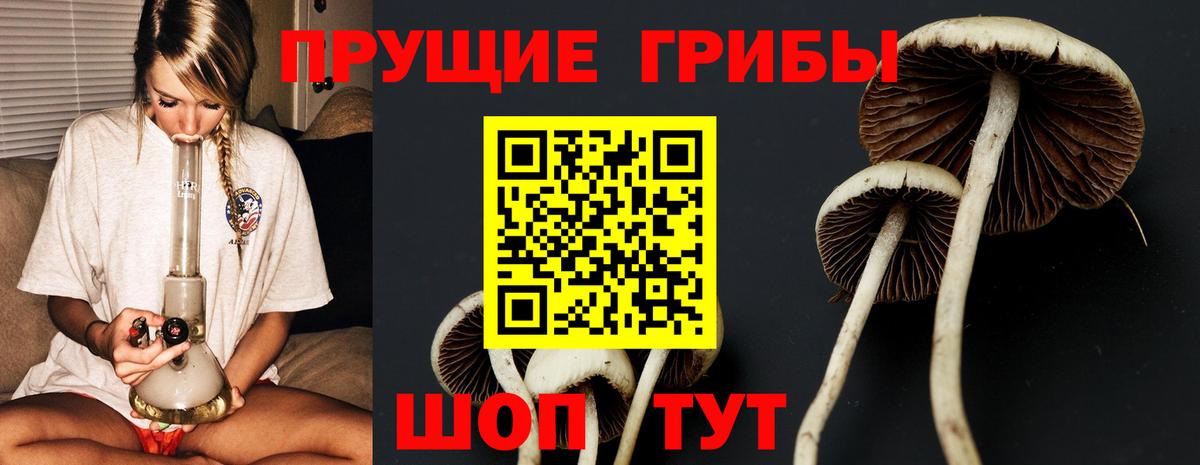 Псилоцибиновые грибы мухоморы  Вход с VPN  Нальчик  Псилоцибиновые грибы ЛСД 